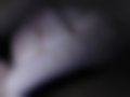 Pictures — Previa 2.4