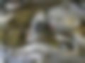 Pictures — 260 E