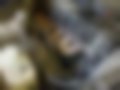 Pictures — 260 E