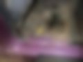 Képek — Damas 0.8