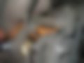 Pictures — L300 2.0