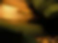Bilder — Camry 2.2