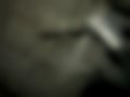 Pictures — GS 300