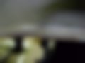 Pictures — DHKS 350