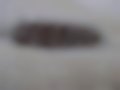 Pictures — SVS 580