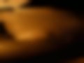 Fotografias — E 350
