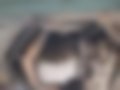 Bilder — Vectra B 2.5 V6