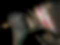 Pictures — J5 2.5 D