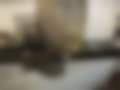 Pictures — M204