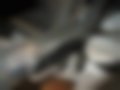Galeria — SV 250