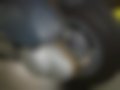 Galeria — Leonardo 250