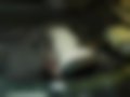 Bilder — C 280