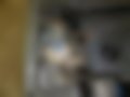 Galeria — Fabia 1.0