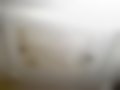 Pictures — Splash 1.3 DDiS