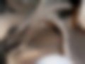 Slike — Marea 1.6 16V