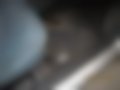 Pictures — Y 1.2