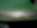 Galeria — 300