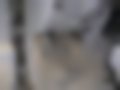 Pictures — PickUp 2.5 Di