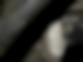 Pictures — Z4 2.5i E85