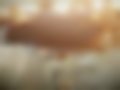 Pictures — HL 60.02
