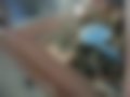 Pictures — 323 1.5