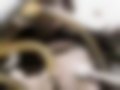 Pictures — 300 D