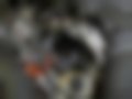 Pictures — 230 CE