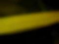 Immagini — 106 1.6 GTi