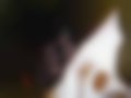 Bilder — C3 Picasso 1.6 HDi