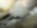 Galeria — 126 BIS