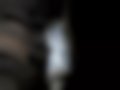Immagini — 19.463