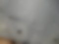 Bilder — 8.224
