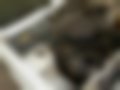 Pictures — Express 1.2