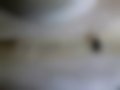 Pictures — Express 1.2