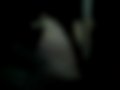 Pictures — 4Runer 2.4