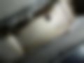 Pictures — Nemo 1.4