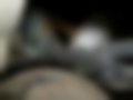 Pictures — Nemo 1.4