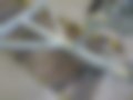 Pictures — 400-6450