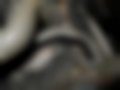 Pictures — E 220 CDI