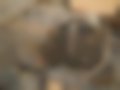 Pictures — FT 105.460 XF