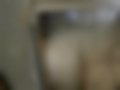 Pictures — 126P 600