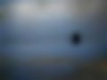 Bilder — 1301