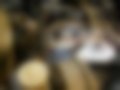 Bilder — 1301