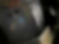 Galeria — TGM 12.290