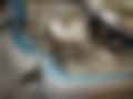 Pictures — Serena 1.6