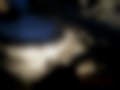Pictures — Fox 1.2