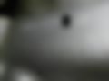 Fotografias — Corvette 5.7 V8