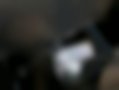 Pictures — Shuma 1.6