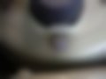 Pictures — Brava 1.4