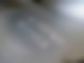 Slike — 307 1.4